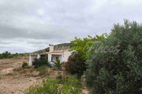 Landejendom i Caudete, Albacete, Caudete - € 39.000 | Ref: SF0580 - foto 16